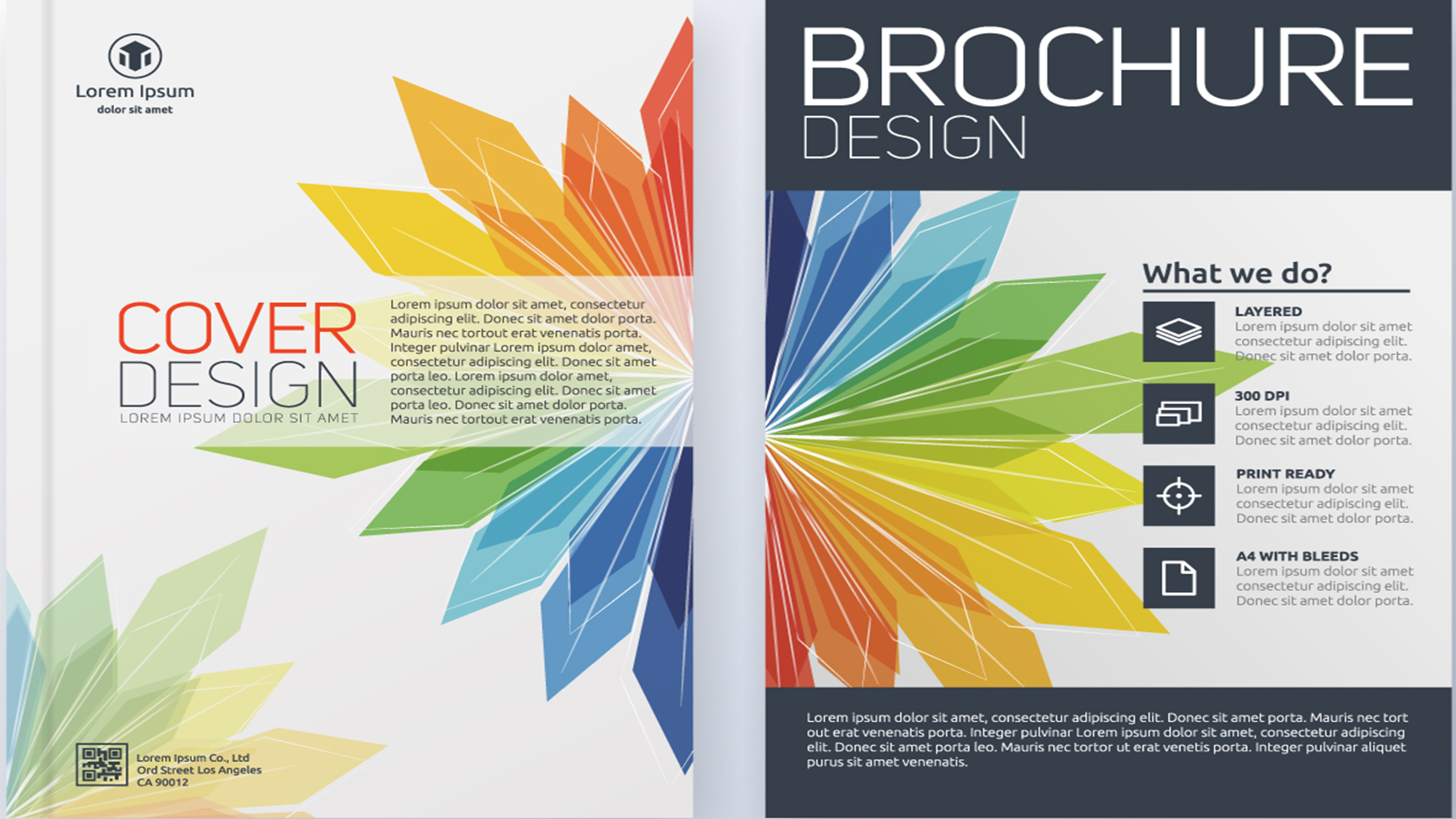 Brochure Design - Web Wisely Design
